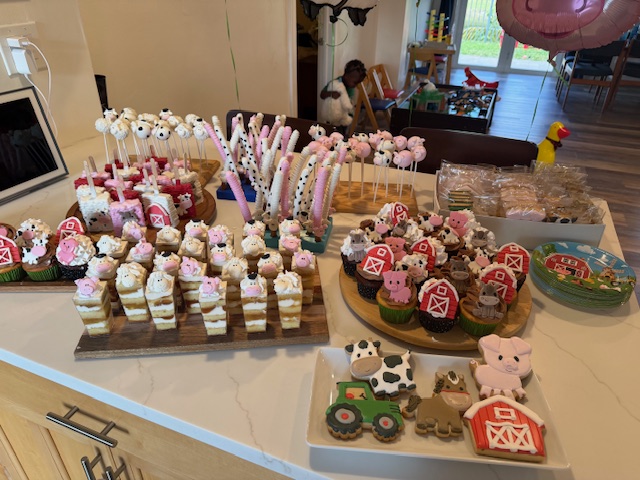 Medium Party Pack (5 Dozen Treats)